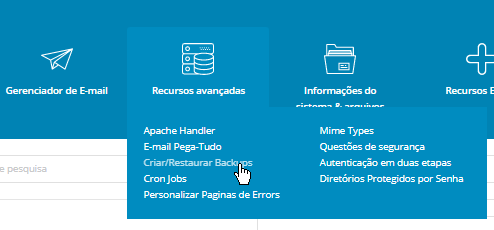 Painel de Controle DirectAdmin Backup